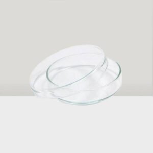 Petri Dishes